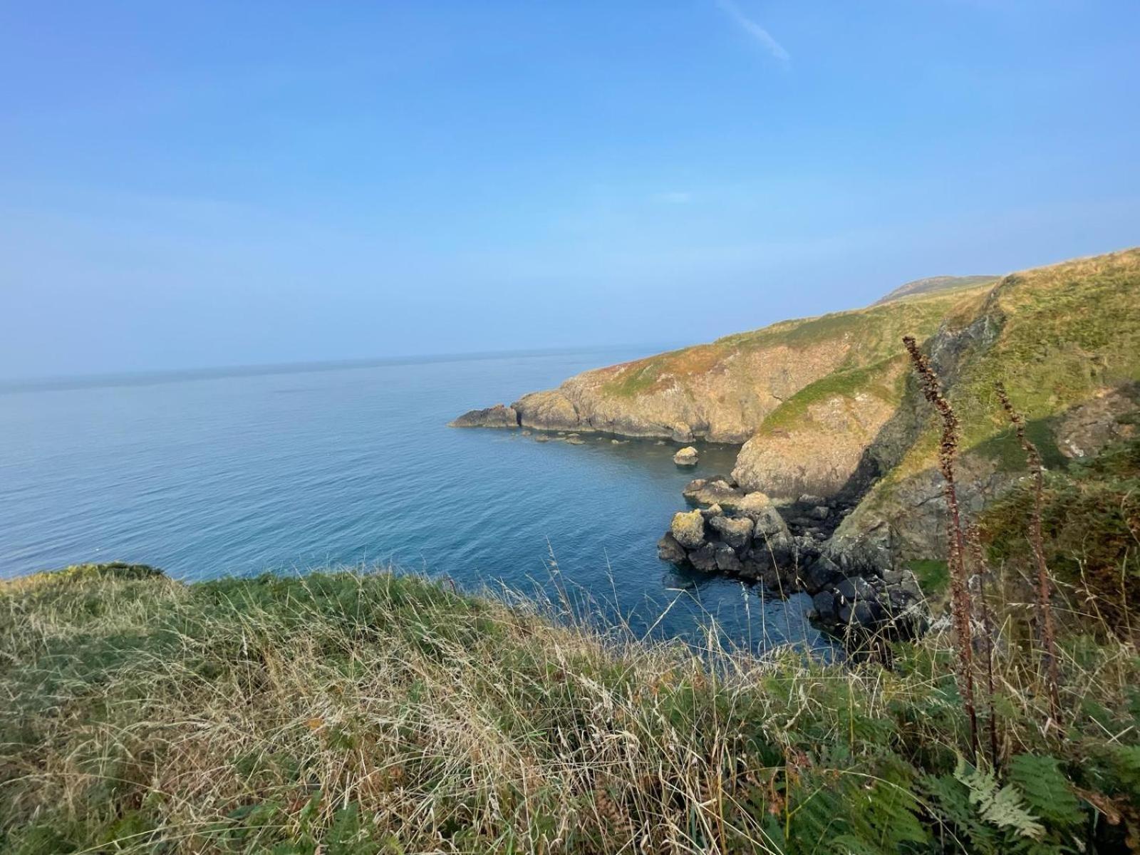 Trefechan Wen Barn Llanwnda  المظهر الخارجي الصورة