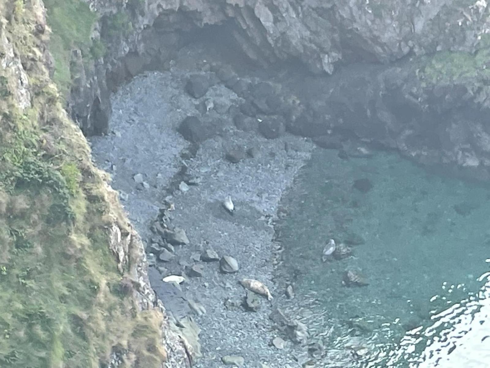 Trefechan Wen Barn Llanwnda  المظهر الخارجي الصورة
